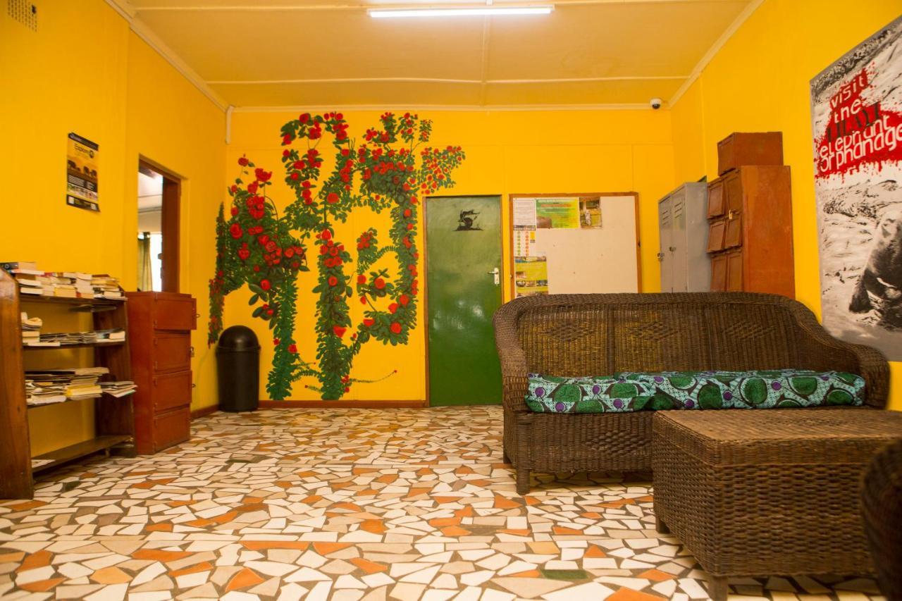 הוסטל Lusaka Backpackers מראה חיצוני תמונה